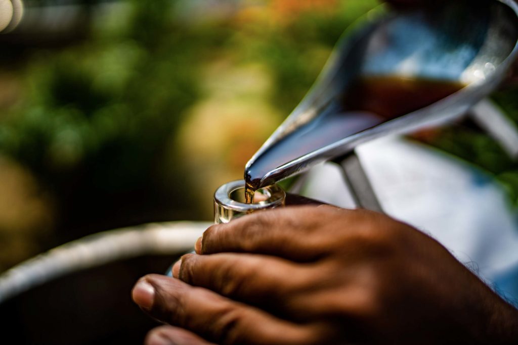 Jalali Agarwood plantation in Bangladesh.