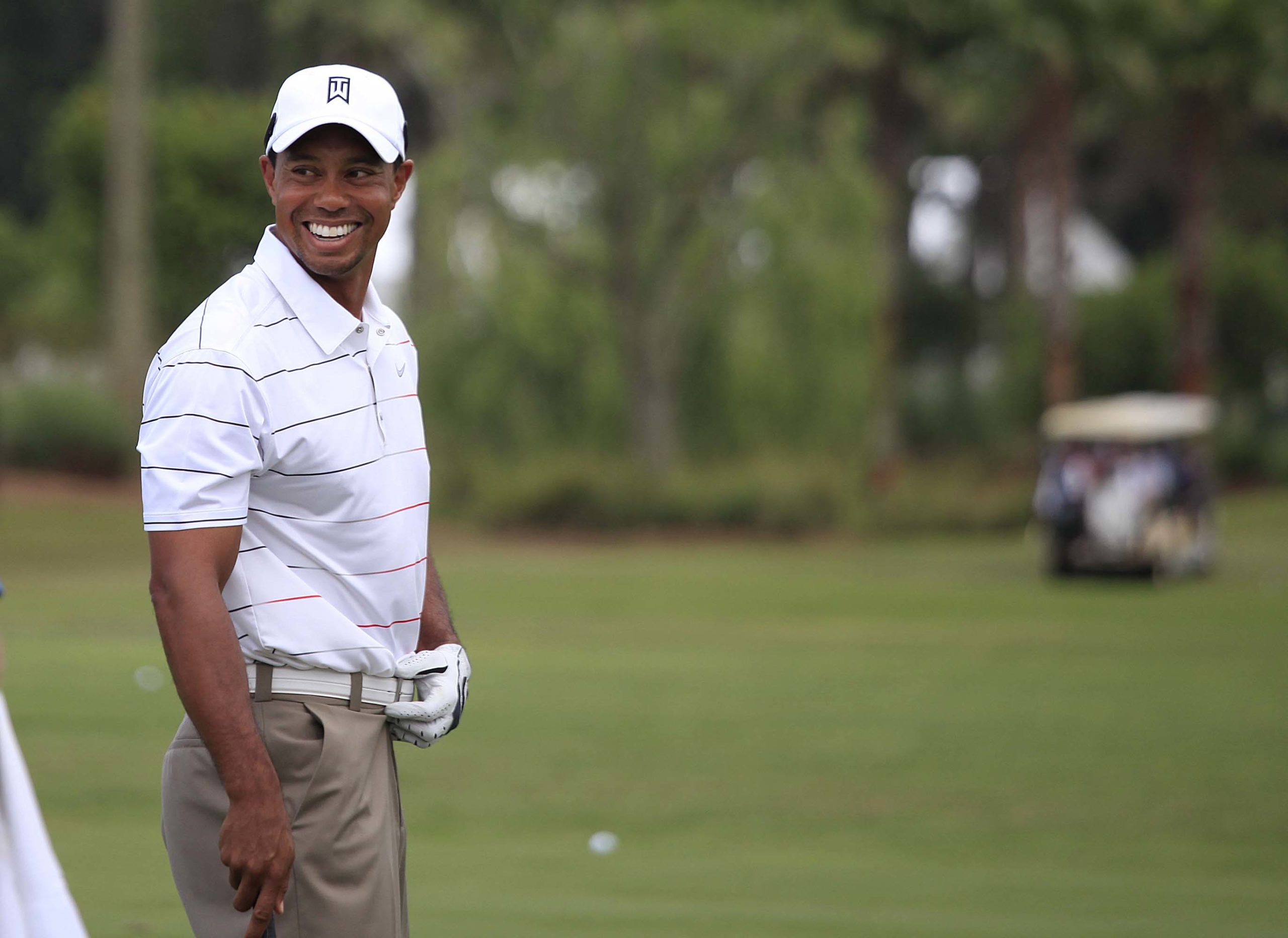 Tiger Woods Premier Golf Legue.